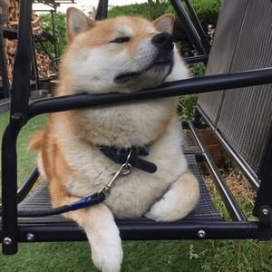 DƬ